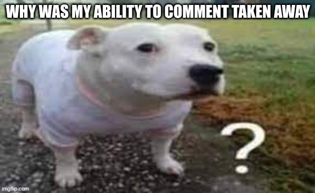 Cunfuzle | WHY WAS MY ABILITY TO COMMENT TAKEN AWAY | image tagged in dog question mark | made w/ Imgflip meme maker