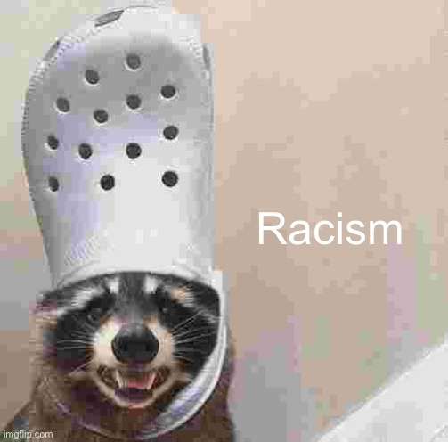 Raccoon croc hat | Racism | image tagged in raccoon croc hat | made w/ Imgflip meme maker