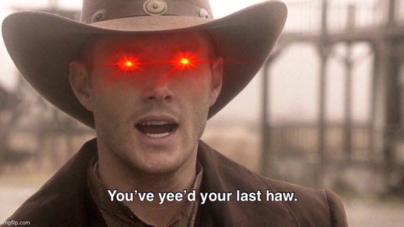 You've Yee'd Your Last Haw | image tagged in you've yee'd your last haw | made w/ Imgflip meme maker