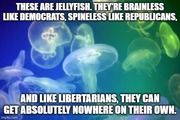 Felt salty lately, so I felt like insulting everybody. | THESE ARE JELLYFISH. THEY'RE BRAINLESS LIKE DEMOCRATS, SPINELESS LIKE REPUBLICANS, AND LIKE LIBERTARIANS, THEY CAN GET ABSOLUTELY NOWHERE ON THEIR OWN. | image tagged in jellyfish,memes,funny,democrats,republicans,libertarians | made w/ Imgflip meme maker