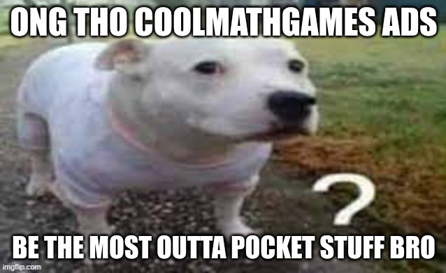 its too true i saw one of an anime girl saying "how is it that big??" and on saying "so what if we are family who cares?!" | ONG THO COOLMATHGAMES ADS; BE THE MOST OUTTA POCKET STUFF BRO | image tagged in dog question mark | made w/ Imgflip meme maker