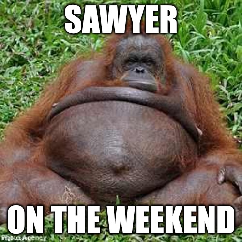 Sawyer | SAWYER; ON THE WEEKEND | image tagged in fat monkey | made w/ Imgflip meme maker