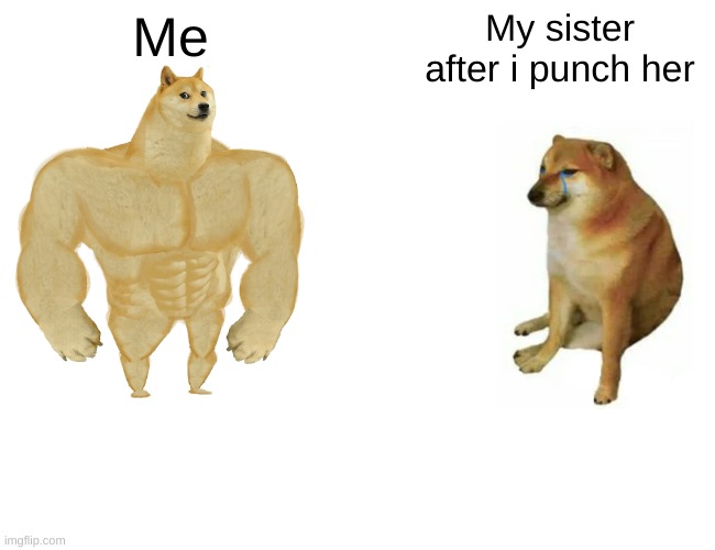 My sister | Me; My sister after i punch her | image tagged in memes,buff doge vs cheems | made w/ Imgflip meme maker