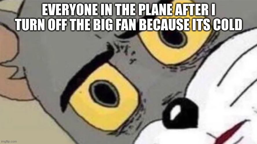 Tom Cat confused | EVERYONE IN THE PLANE AFTER I TURN OFF THE BIG FAN BECAUSE ITS COLD | image tagged in tom cat confused,funny,memes,tom,cat,confused tom | made w/ Imgflip meme maker