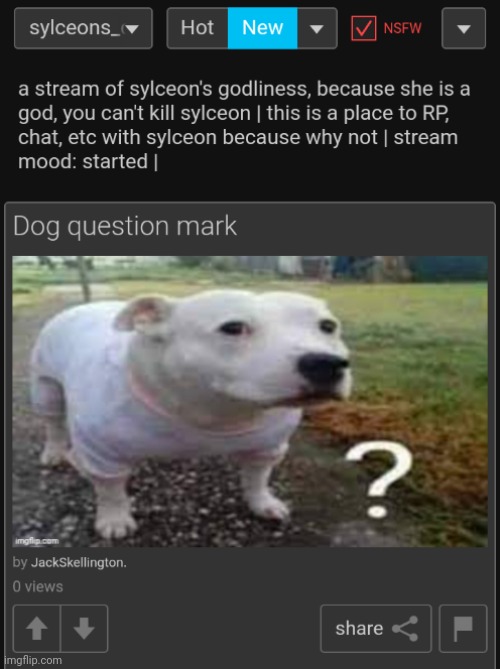 (Thisisntcontext: no roleplay in a roleplay stream lol) | made w/ Imgflip meme maker