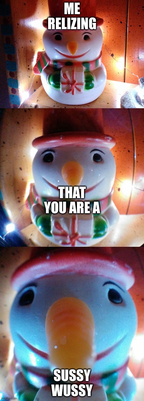 Snow Joke | ME RELIZING; THAT YOU ARE A; SUSSY WUSSY | image tagged in snow joke | made w/ Imgflip meme maker
