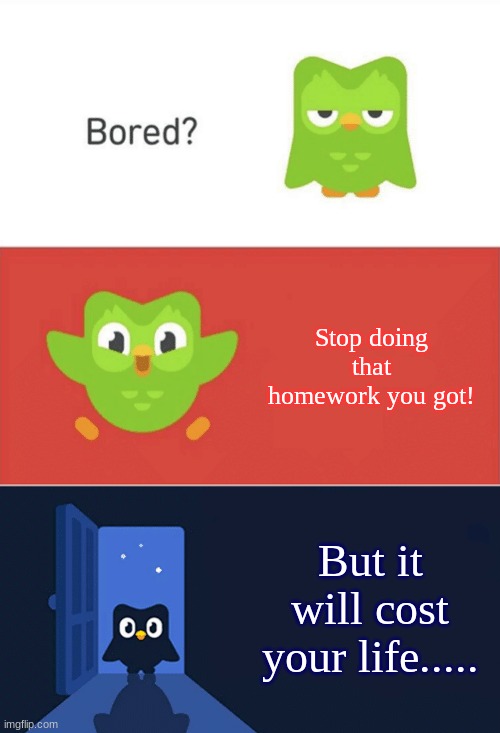 Should have done the homework! | Stop doing that homework you got! But it will cost your life..... | image tagged in duolingo bored 3-panel,oh no,homework,school | made w/ Imgflip meme maker