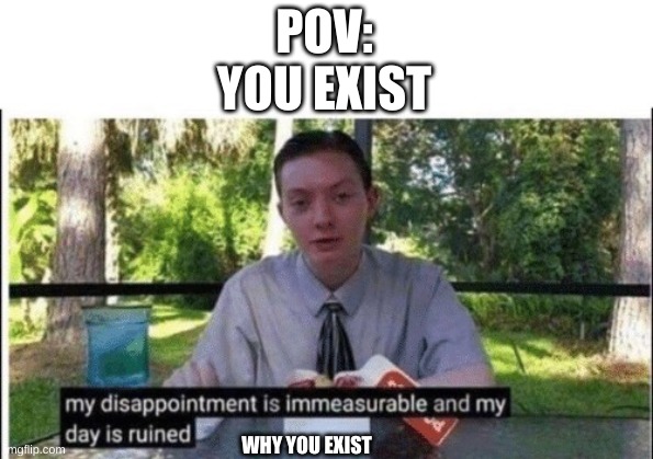 You see me |  POV: YOU EXIST; WHY YOU EXIST | image tagged in my dissapointment is immeasurable and my day is ruined | made w/ Imgflip meme maker