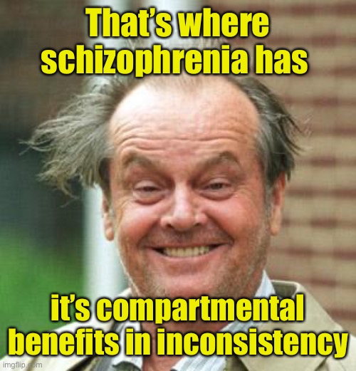 Jack Nicholson Crazy Hair | That’s where schizophrenia has it’s compartmental benefits in inconsistency | image tagged in jack nicholson crazy hair | made w/ Imgflip meme maker