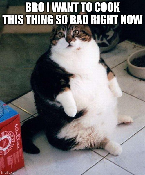 fat cat | BRO I WANT TO COOK THIS THING SO BAD RIGHT NOW | image tagged in fat cat | made w/ Imgflip meme maker