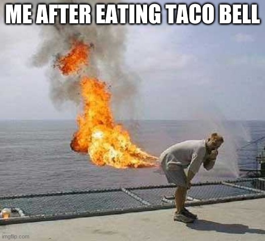 Taco | image tagged in the tacos | made w/ Imgflip meme maker