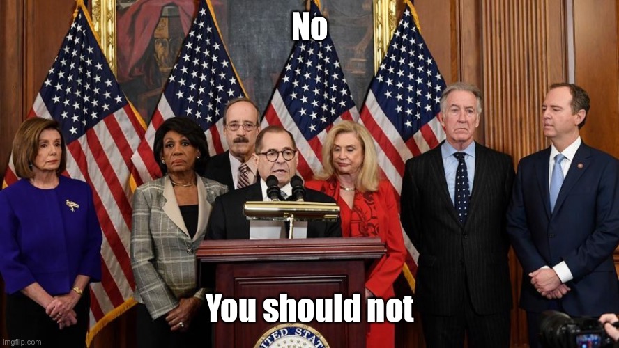 House Democrats | No You should not | image tagged in house democrats | made w/ Imgflip meme maker