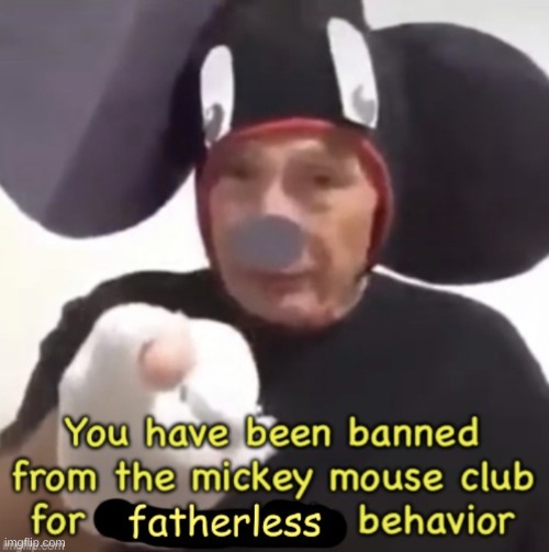 banned from the mmch for fatherless behavior | image tagged in banned from the mmch for fatherless behavior | made w/ Imgflip meme maker