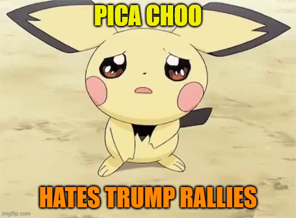 Sad pichu | PICA CHOO HATES TRUMP RALLIES | image tagged in sad pichu | made w/ Imgflip meme maker