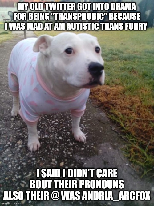 High quality Huh Dog | MY OLD TWITTER GOT INTO DRAMA FOR BEING "TRANSPHOBIC" BECAUSE I WAS MAD AT AM AUTISTIC TRANS FURRY; I SAID I DIDN'T CARE BOUT THEIR PRONOUNS
ALSO THEIR @ WAS ANDRIA_ARCFOX | image tagged in high quality huh dog | made w/ Imgflip meme maker