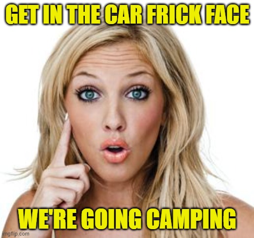 Dumb blonde | GET IN THE CAR FRICK FACE WE'RE GOING CAMPING | image tagged in dumb blonde | made w/ Imgflip meme maker