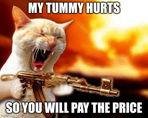 please help </3 |  MY TUMMY HURTS; SO YOU WILL PAY THE PRICE | image tagged in machine gun cat | made w/ Imgflip meme maker