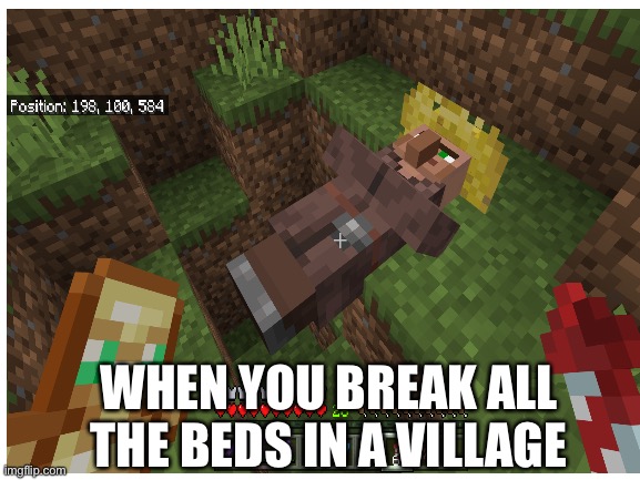 Poor homeless guy | WHEN YOU BREAK ALL THE BEDS IN A VILLAGE | image tagged in villager | made w/ Imgflip meme maker