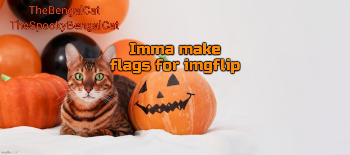 We have MSMG flag | Imma make flags for imgflip | image tagged in thespookybengalcat annoucment template | made w/ Imgflip meme maker