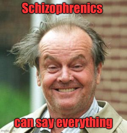 Jack Nicholson Crazy Hair | Schizophrenics can say everything | image tagged in jack nicholson crazy hair | made w/ Imgflip meme maker