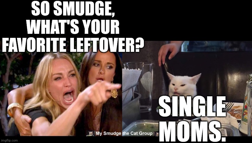 SO SMUDGE, WHAT'S YOUR FAVORITE LEFTOVER? SINGLE MOMS. | image tagged in smudge the cat,woman yelling at cat | made w/ Imgflip meme maker