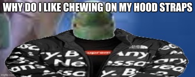 reef shark with the drip on god | WHY DO I LIKE CHEWING ON MY HOOD STRAPS | image tagged in reef shark with the drip on god | made w/ Imgflip meme maker
