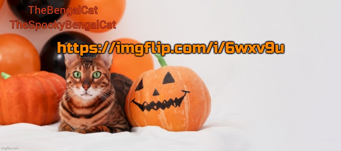 Read comments | https://imgflip.com/i/6wxv9u | image tagged in thespookybengalcat annoucment template | made w/ Imgflip meme maker