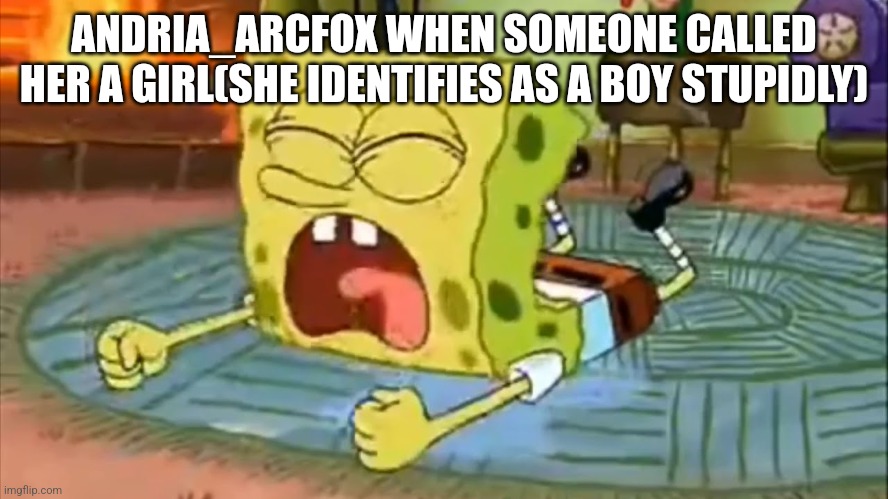 SpongeBob Temper Tantrum | ANDRIA_ARCFOX WHEN SOMEONE CALLED HER A GIRL(SHE IDENTIFIES AS A BOY STUPIDLY) | image tagged in spongebob temper tantrum | made w/ Imgflip meme maker