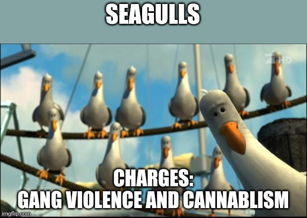 Nemo Seagulls Mine | SEAGULLS; CHARGES:
GANG VIOLENCE AND CANNABLISM | image tagged in nemo seagulls mine | made w/ Imgflip meme maker