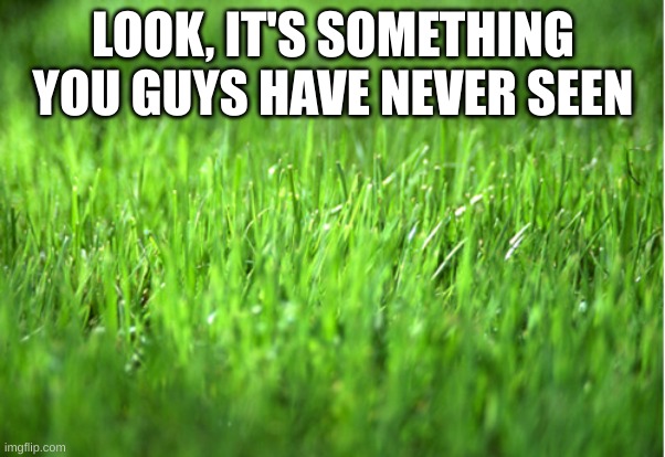 grass is greener | LOOK, IT'S SOMETHING YOU GUYS HAVE NEVER SEEN | image tagged in grass is greener | made w/ Imgflip meme maker