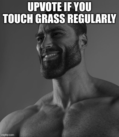 i imagine no one on imgflip does | UPVOTE IF YOU TOUCH GRASS REGULARLY | image tagged in giga chad | made w/ Imgflip meme maker