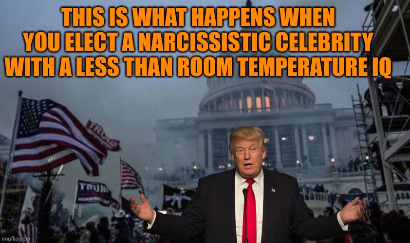Trump's legacy | THIS IS WHAT HAPPENS WHEN YOU ELECT A NARCISSISTIC CELEBRITY WITH A LESS THAN ROOM TEMPERATURE IQ | image tagged in misconstrued coup | made w/ Imgflip meme maker
