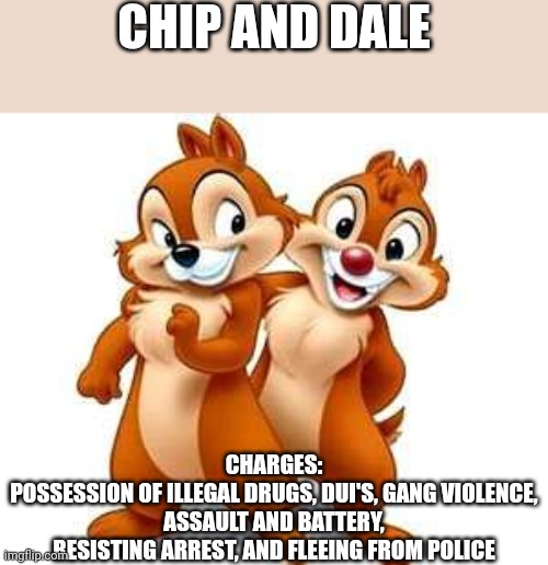 Chip and Dale | CHIP AND DALE; CHARGES:
POSSESSION OF ILLEGAL DRUGS, DUI'S, GANG VIOLENCE, ASSAULT AND BATTERY, RESISTING ARREST, AND FLEEING FROM POLICE | image tagged in chip and dale | made w/ Imgflip meme maker