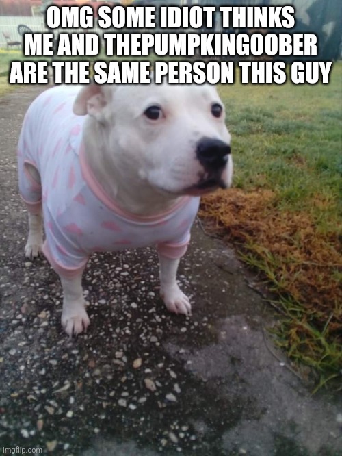 High quality Huh Dog | OMG SOME IDIOT THINKS ME AND THEPUMPKINGOOBER ARE THE SAME PERSON THIS GUY | image tagged in high quality huh dog | made w/ Imgflip meme maker