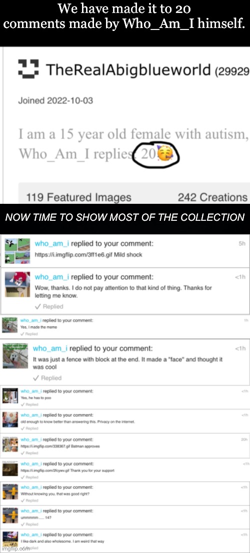 The comments galore! | We have made it to 20 comments made by Who_Am_I himself. NOW TIME TO SHOW MOST OF THE COLLECTION | image tagged in who_am_i | made w/ Imgflip meme maker