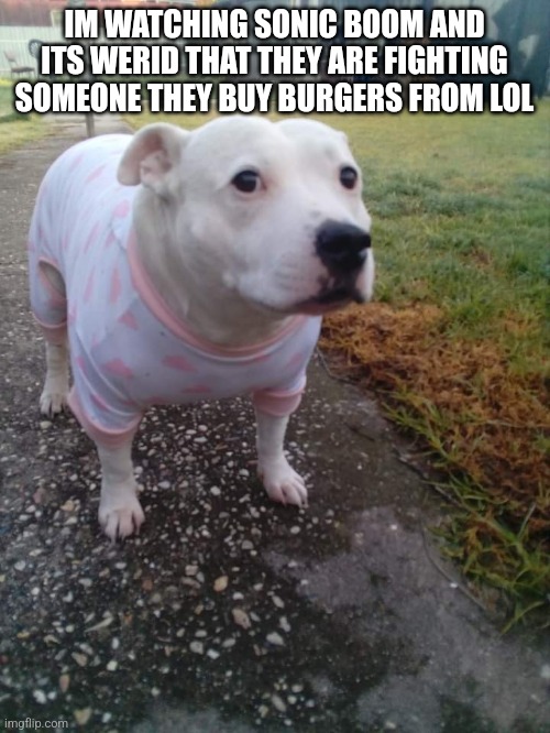 High quality Huh Dog | IM WATCHING SONIC BOOM AND ITS WERID THAT THEY ARE FIGHTING SOMEONE THEY BUY BURGERS FROM LOL | image tagged in high quality huh dog | made w/ Imgflip meme maker