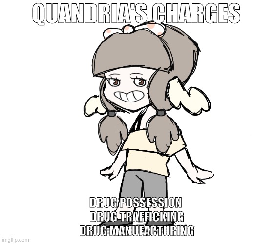 since it's a trend rn | QUANDRIA'S CHARGES; DRUG POSSESSION 
DRUG TRAFFICKING
DRUG MANUFACTURING | image tagged in quandria jumpscare | made w/ Imgflip meme maker