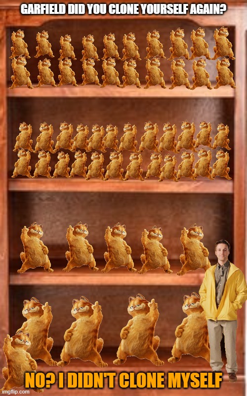 too many garfields | GARFIELD DID YOU CLONE YOURSELF AGAIN? NO? I DIDN'T CLONE MYSELF | image tagged in empty shelves stolen from wayfair,garfield,cats,clones,20th century fox | made w/ Imgflip meme maker