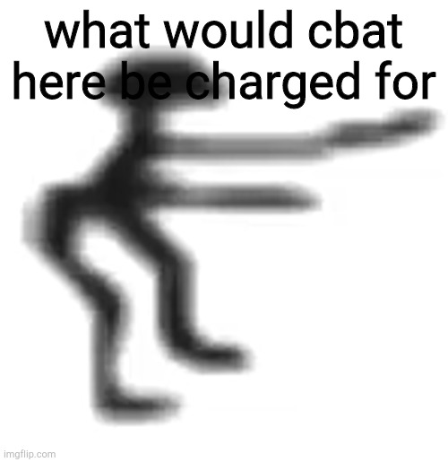 cbat | what would cbat here be charged for | image tagged in cbat | made w/ Imgflip meme maker