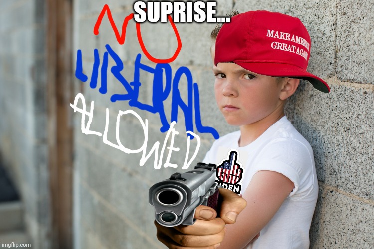 SUPRISE... | made w/ Imgflip meme maker