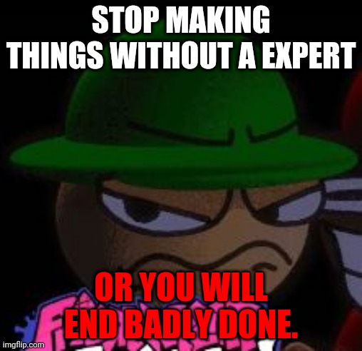 No More bad things | STOP MAKING THINGS WITHOUT A EXPERT; OR YOU WILL END BADLY DONE. | image tagged in never make this | made w/ Imgflip meme maker