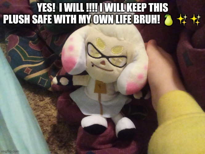 Aesthetic warning ✨✨✨ | YES!  I WILL !!!! I WILL KEEP THIS PLUSH SAFE WITH MY OWN LIFE BRUH! 🍐✨✨ | made w/ Imgflip meme maker