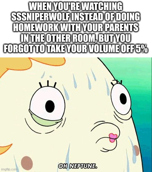 SSSniperwolf is loud and I speak from experience | WHEN YOU'RE WATCHING SSSNIPERWOLF INSTEAD OF DOING HOMEWORK WITH YOUR PARENTS IN THE OTHER ROOM, BUT YOU FORGOT TO TAKE YOUR VOLUME OFF 5% | image tagged in mrs puff,homework | made w/ Imgflip meme maker