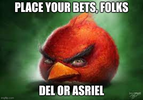 Realistic Red Angry Birds | PLACE YOUR BETS, FOLKS DEL OR ASRIEL | image tagged in realistic red angry birds | made w/ Imgflip meme maker