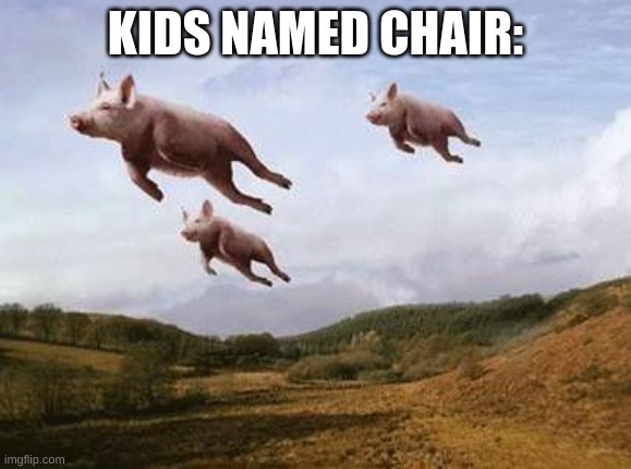 Pigs Fly | KIDS NAMED CHAIR: | image tagged in pigs fly | made w/ Imgflip meme maker