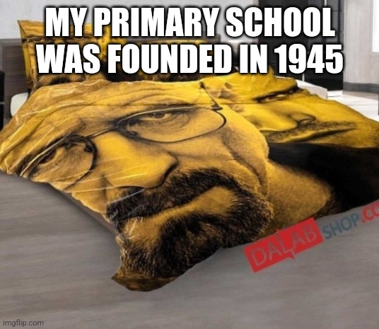 Breaking Bed | MY PRIMARY SCHOOL WAS FOUNDED IN 1945 | image tagged in breaking bed | made w/ Imgflip meme maker