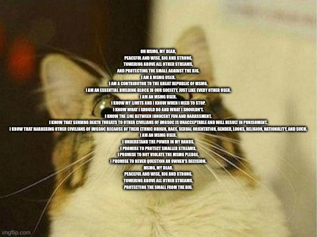 Scared Cat | OH MSMG, MY DEAR,
PEACEFUL AND WISE, BIG AND STRONG,
TOWERING ABOVE ALL OTHER STREAMS,
AND PROTECTING THE SMALL AGAINST THE BIG.

I AM A MSMG USER.
I AM A CONTRIBUTOR TO THE GREAT REPUBLIC OF MSMG.
I AM AN ESSENTIAL BUILDING BLOCK IN OUR SOCIETY, JUST LIKE EVERY OTHER USER.
I AM AN MSMG USER.
I KNOW MY LIMITS AND I KNOW WHEN I NEED TO STOP.
I KNOW WHAT I SHOULD DO AND WHAT I SHOULDN'T.
I KNOW THE LINE BETWEEN INNOCENT FUN AND HARASSMENT.
I KNOW THAT SENDING DEATH THREATS TO OTHER CIVILIANS OF IMGSOC IS UNACCEPTABLE AND WILL RESULT IN PUNISHMENT.
I KNOW THAT HARASSING OTHER CIVILIANS OF IMGSOC BECAUSE OF THEIR ETHNIC ORIGIN, RACE, SEXUAL ORIENTATION, GENDER, LOOKS, RELIGION, NATIONALITY, AND SUCH.
I AM AN MSMG USER.
I UNDERSTAND THE POWER IN MY HANDS.
I PROMISE TO PROTECT SMALLER STREAMS.
I PROMISE TO NOT VIOLATE THE MSMG PLEDGE.
I PROMISE TO NEVER QUESTION AN OWNER'S DECISION.

MSMG, MY DEAR.
PEACEFUL AND WISE, BIG AND STRONG.
TOWERING ABOVE ALL OTHER STREAMS,
PROTECTING THE SMALL FROM THE BIG. | image tagged in memes,scared cat | made w/ Imgflip meme maker