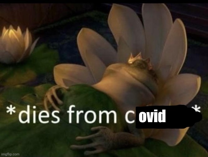 Dies from cringe | ovid | image tagged in dies from cringe | made w/ Imgflip meme maker