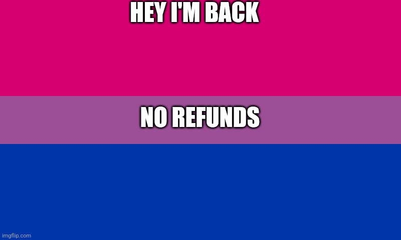 Imm back | HEY I'M BACK; NO REFUNDS | image tagged in bi flag | made w/ Imgflip meme maker