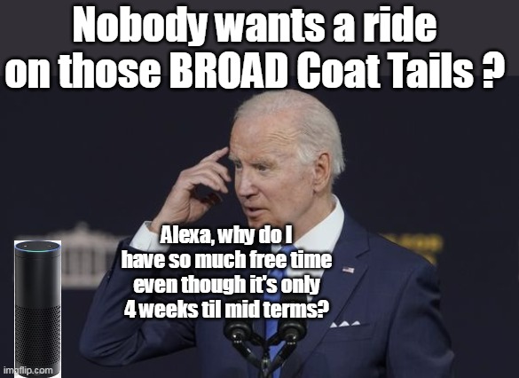 Democratic Ticket Boat Anchor | Nobody wants a ride on those BROAD Coat Tails ? Alexa, why do I have so much free time even though it's only 4 weeks til mid terms? | image tagged in loser brandon | made w/ Imgflip meme maker